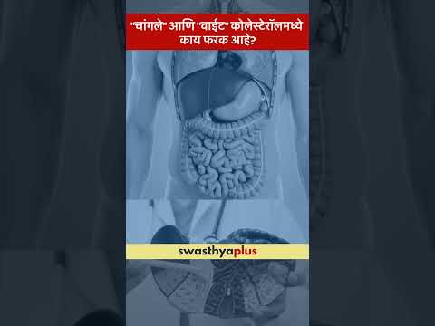 "चांगले" आणि "वाईट" कोलेस्टेरॉलमध्ये काय फरक आहे? | Good & Bad Cholesterol Dr Pooja Ghalsasi Kale