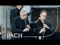 Capture de la vidéo Bach - Cantata Gottes Zeit..., 'Actus Tragicus' Bwv 106 - Van Veldhoven | Netherlands Bach Society