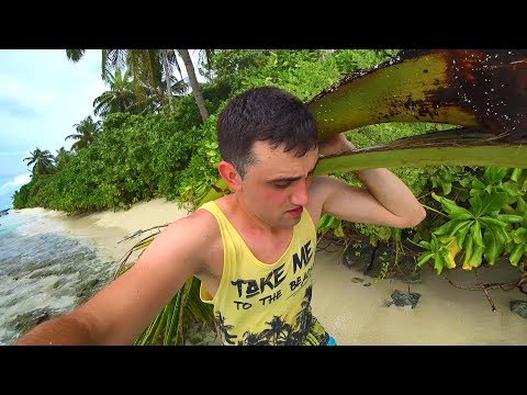 Видео: Выживание 24 часа на необитаемом острове.[ 1-Часть ]Строю шалаш Добываю фрукты
