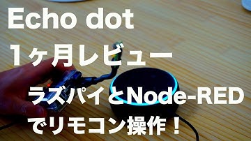 Echo Dot 1ヶ月レビュー。Raspberry PiとNode-REDでリモコン操作！