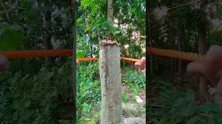 The Simple Knot You Should Use! #knottying #outdoorskills #ropep