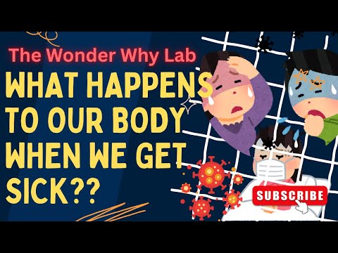 Science for Kids | What Happens to Our Body When We Get Sick? | The Wonder Why Lab