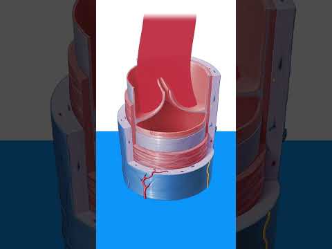 Varicose veins: Definition | Kenhub #shorts