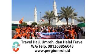 al amin tour and travels