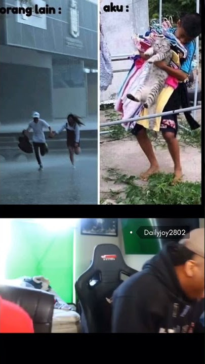 Story Wa ' waktu hujan turun ' || Meme Ukelele #shorts