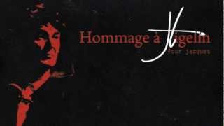 Video thumbnail of "Hommage à Higelin "Chanson""