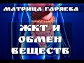 Улучшение работы ЖКТ🔆Матрица Гаряева🔆Квантовое исцеление звуком Ч.2