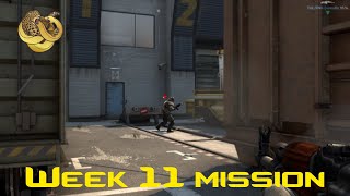 CS:GO - Operation Broken Fang week 11 guardian mission