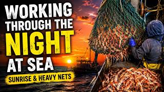 From Sunset to Sunrise on the North Sea 🌅 Heavy Nets at Dawn