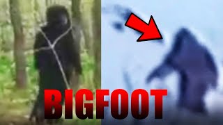 5 Bigfoot Sighting Caught On Camera
