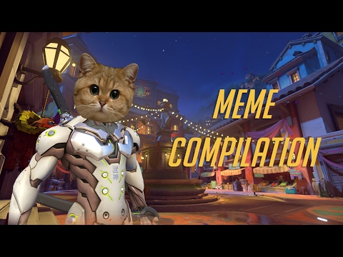 overwatch---meme-compilation-|-cats