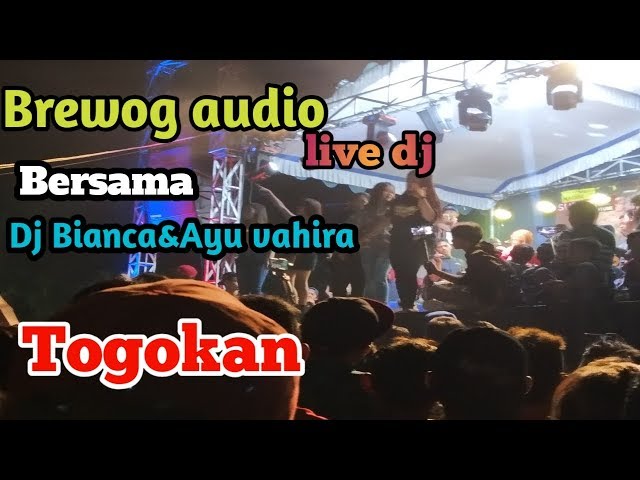 Brewog audio || live dj bersama dj Bianca dan Ayu vahira class=