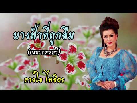 นางฟ้าที่ถูก​ลืม​ (เฉพาะ​ดนตรี)​ -​ ดาวใจ​  ไพจิตร​