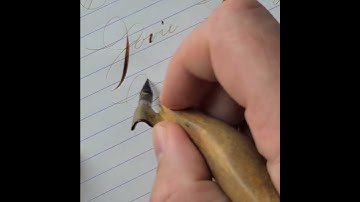 Spencerian Calligraphy Request no.811