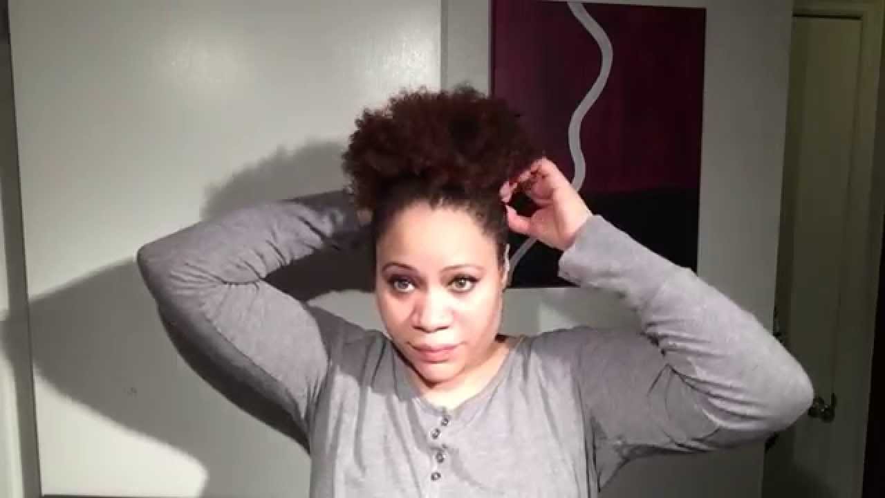 Natural Hair One Ponytail Holder Or Four Ponytail Holders Afro