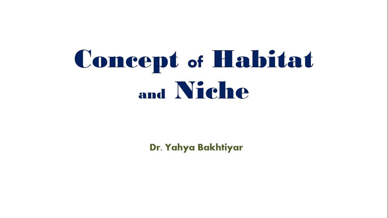 habitat-and-niche-worksheet-answer-key