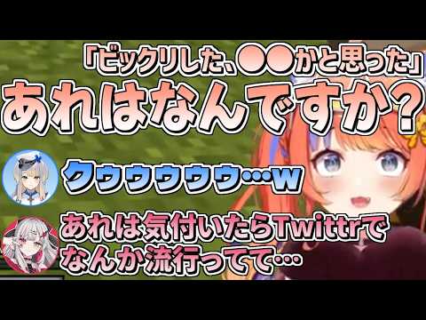 悪気ゼロのみくぽぽにミームの解説をさせられる石神、一緒にダメージを受ける栞葉【にじさんじ/切り抜き/猫屋敷美紅/石神のぞみ/栞葉るり/#あらなみマイクラ 】