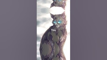 Cinderpelt edit #warriorcats #cinderpelt4life