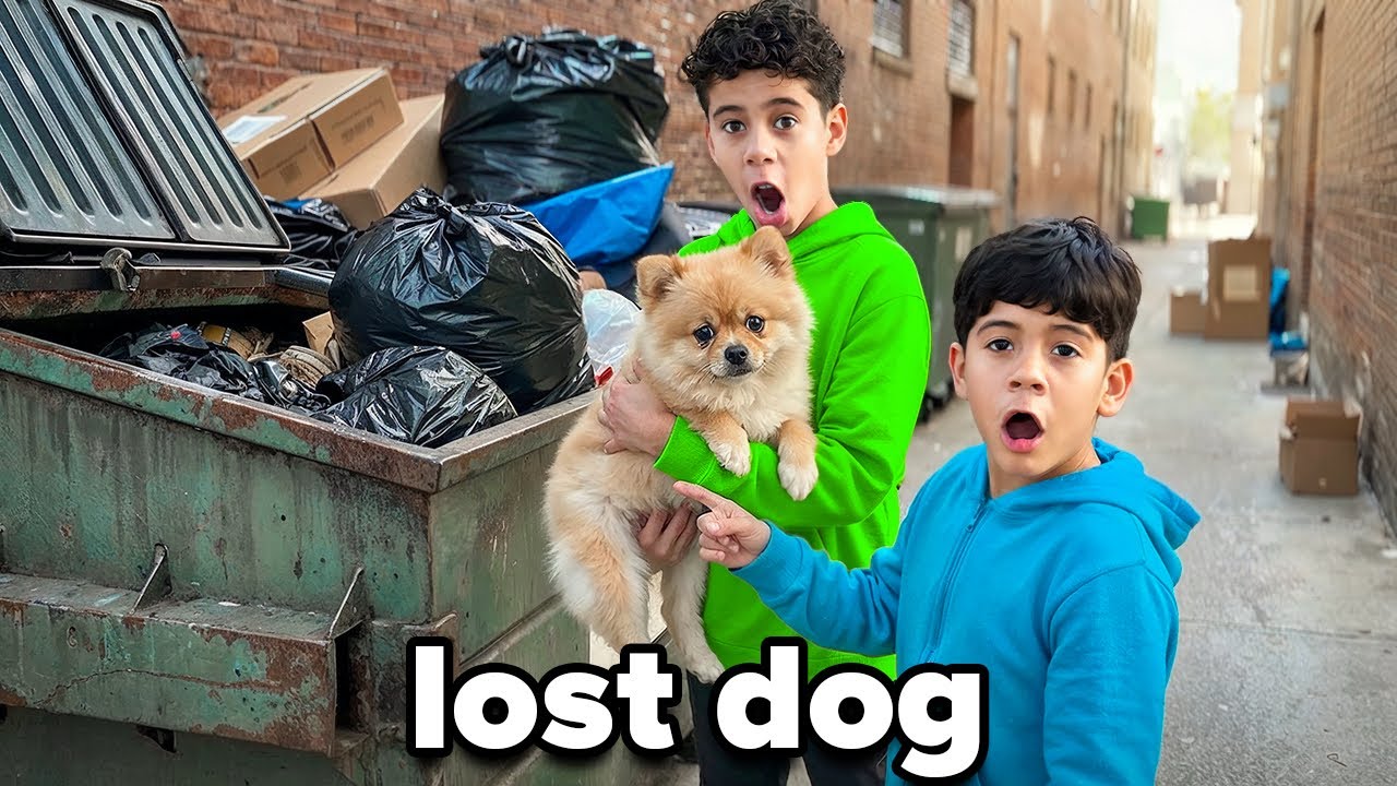 We Found a Lost Dog… The Kids Begged Us To Keep it - YouTube