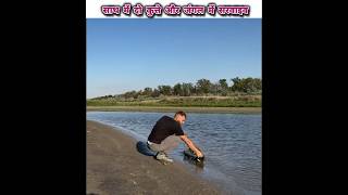 साथ में दो कुत्ते और जंगल में सर्वाइव। #survival #camping #shortsfeed