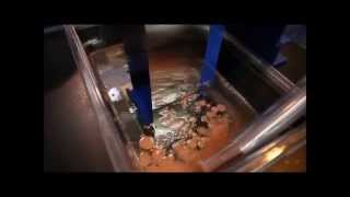 Belt Oil Skimmer Compact Portable Tote-It Abanaki