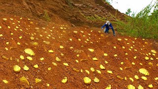 OMG Lucky Lucky Day! Mining Gold - Finding and digging gold.