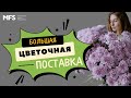 ОБЗОР | Разгребаем большую цветочную поставку | MFS TV