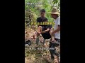 Outdoor role play, for entertainment only.