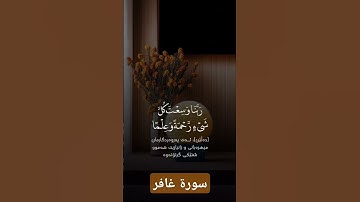سورة غافر #quran #دويتو #duet #دعاء #صباحالخير #لايك #دعاءمستجاب #تيك_توك #حالاتواتس #حالات_واتس