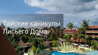 Таиланд, Phuket Orchid Resort & Spa. Обзор номера и территории. Ноябрь 2017