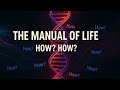 The Manual of Life (How? How?)