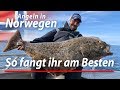 So fangt ihr große Fische | Angeln auf Heilbutt mit Köderfisch und Gummifisch | Angeln in Norwegen