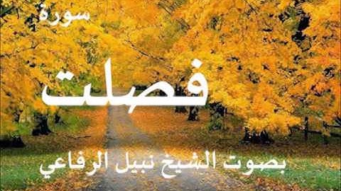 سورة فصلت بصوت الشيخ / نبيل الرفاعي 41