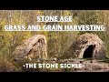 Stone Sickle - The First Grain and Grass Harvesting Tool #survival #bushcraft #primitivetechnology