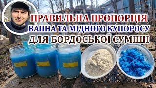 Пропорція вапна та мідного купоросу для Бордоської суміші