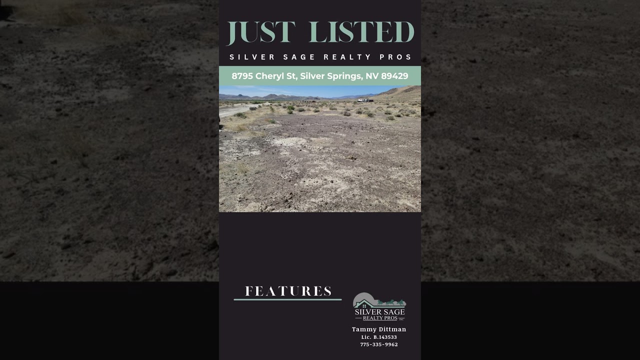 Just Listed: 8795 Cheryl St, Silver Springs, NV