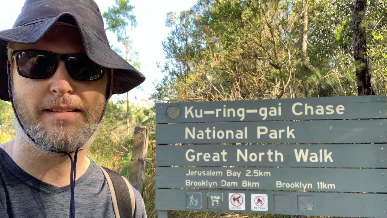 Great North Walk - Cowan to Brooklyn - Red-bellied black snake - Lyrebird