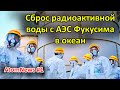 Япония планирует сбросить воду с АЭС Фукусима в океан. Насколько это опасно?