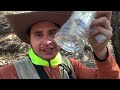 El yellowstone mexicano buscando agua potable en el bosque de la primavera