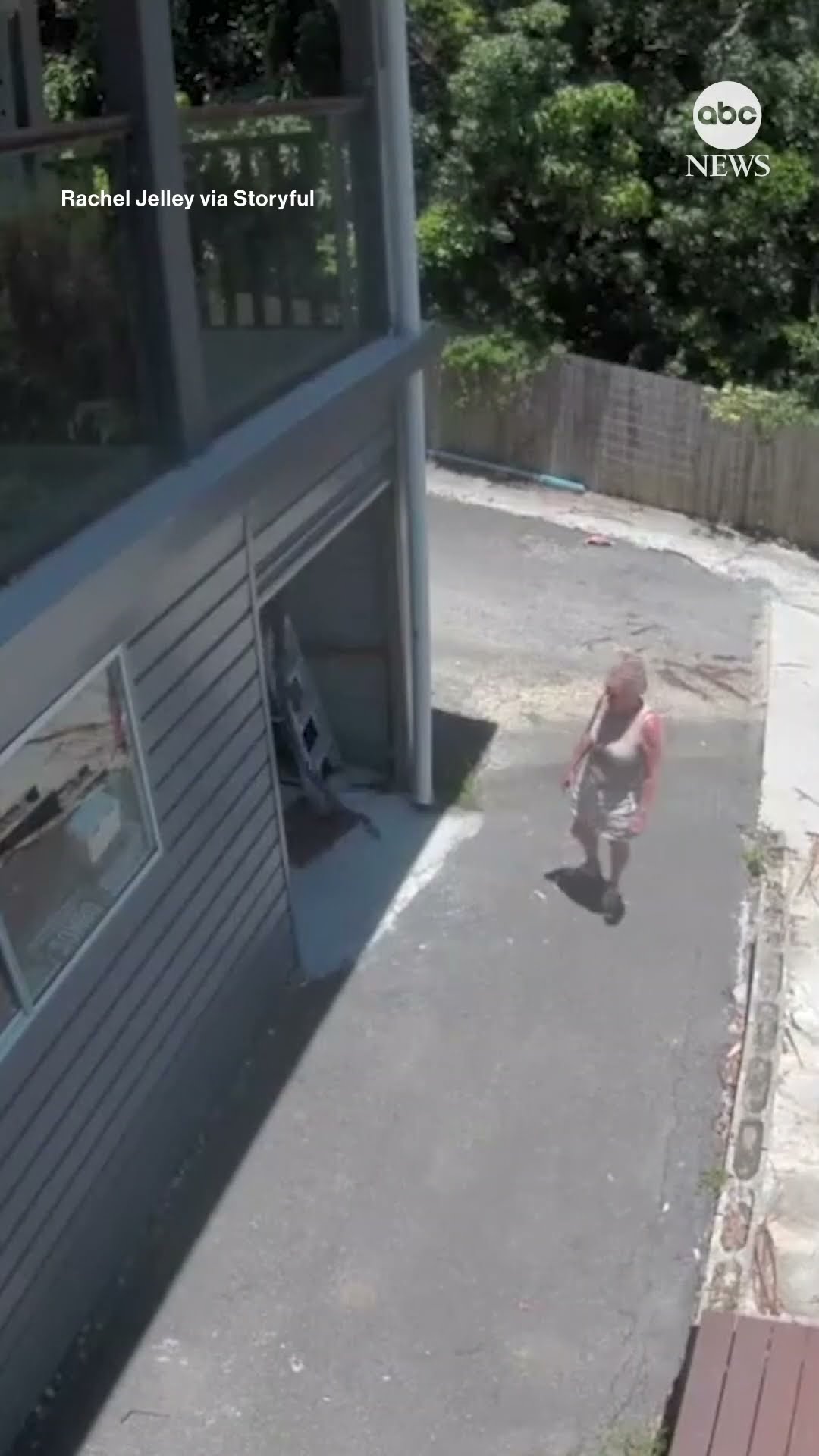 Enormous snake swings down from above as Australian woman opens her garage door #snakes #australia