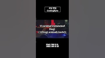 [코딩 한입] Java instanceof, 이건 언제 쓰는 걸까? | 1분 핵심 설명