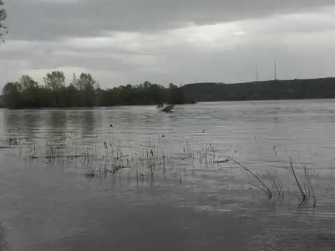 Тест драйв Пегас рыболовный с ПЛМ Мерк 150, винт Солас ЧР Титан 4 ...