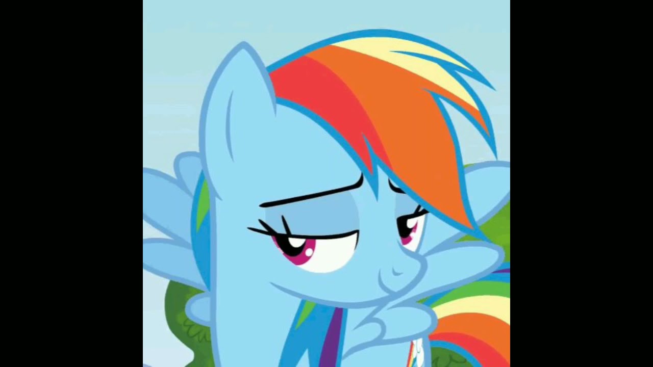 swagtastic - rackies! (elxnce)