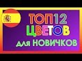 ТОП 12 Цветов в Испанском языке для Начинающих