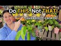 Do this not that plant care  watering lighting repotting soil fertilize  houseplant care 101