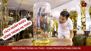 Cách ngâm rượu đông trùng hạ thảo cùng các loại dược liệu quý | Onplaza
