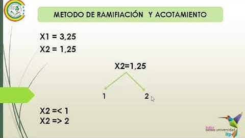 PROGRAMACIÓN ENTERA PURA