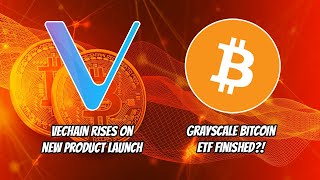 Vechain(VET) Rises on New Product Launch. Grayscale Bitcoin ETF Finished?!
