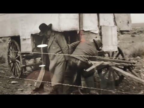 ძველი ფოტოების ენერგია..