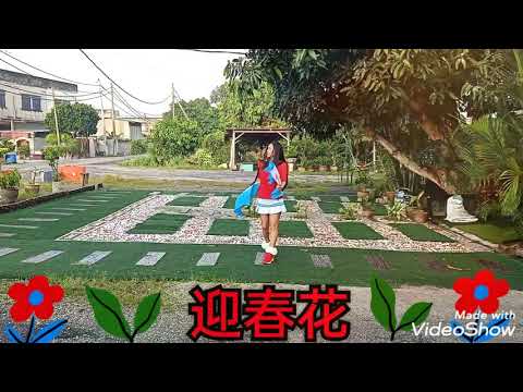 CNY2021迎春花🌸